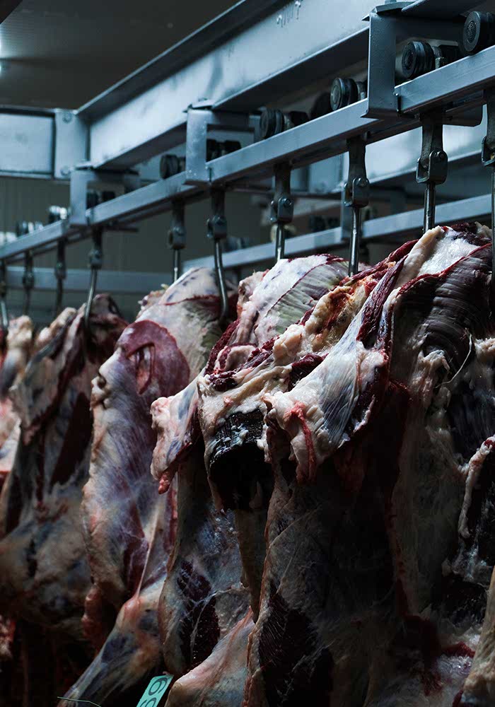 Soğuk Hava Depoları Galeri